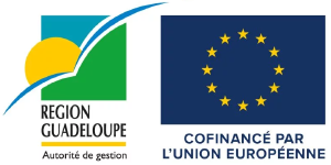 Logo Europe Guadeloupe