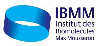 ibmm